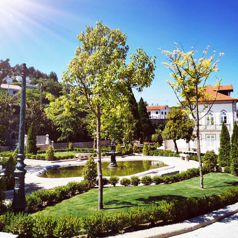 Recuperação, Remodelação e Manutenção de Jardins